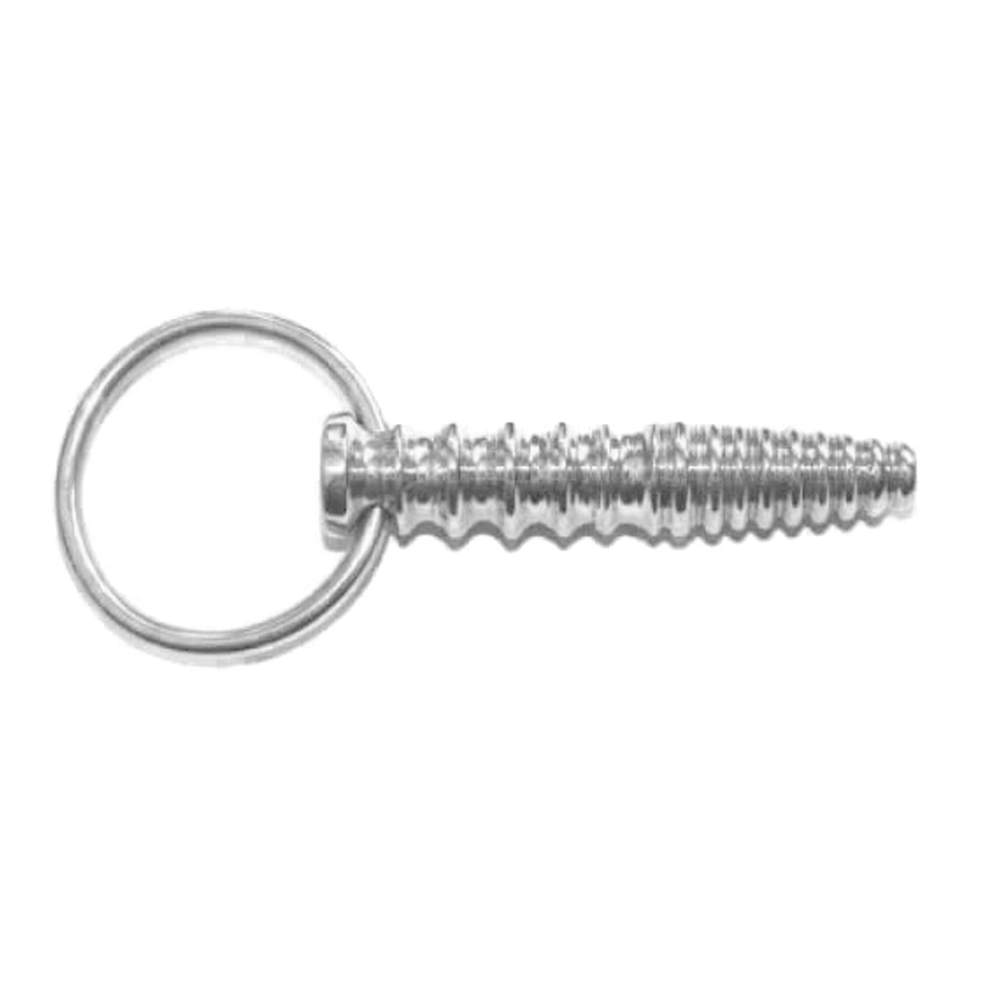 Penis Plug aus Edelstahl mit haltering
